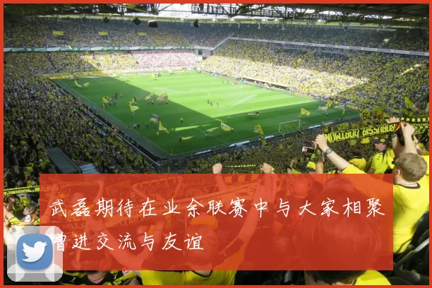 武磊期待在业余联赛中与大家相聚增进交流与友谊