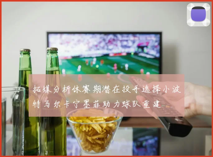 拓媒分析休赛期潜在投手选择小波特马尔卡宁墨菲助力球队重建